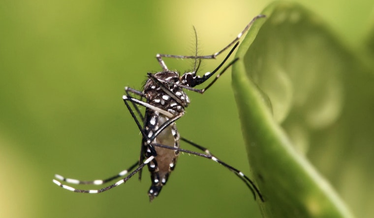 New York City Launches Mosquito Pesticide Spraying in Bronx and Staten Island to Fight West Nile Virus