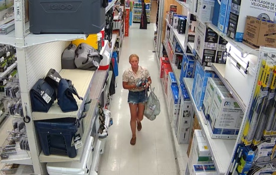 Novato Community Helps Police Nab Theft Suspect Linked to Pini Hardware Incident