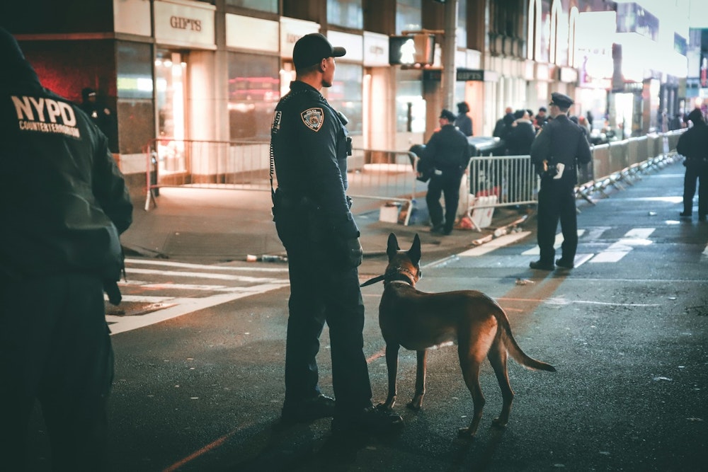 NYPD Dispatches Cadaver Dogs to Assist in Texas Flood Recovery Efforts