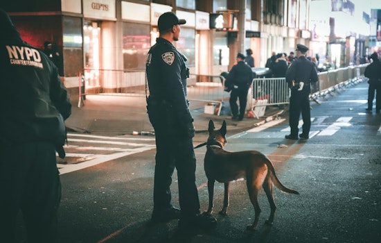 NYPD Dispatches Cadaver Dogs to Assist in Texas Flood Recovery Efforts