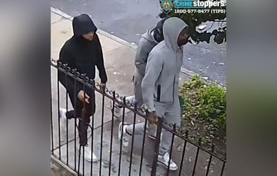 NYPD Seeks Public Help to Catch Suspects in Queens Armed Robbery Spree