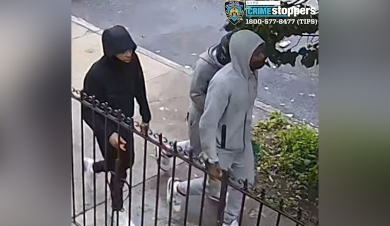 NYPD Seeks Public Help to Catch Suspects in Queens Armed Robbery Spree