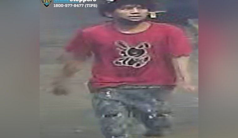 NYPD Seeks Public’s Help in Identifying Suspect in Brooklyn Subway Grand Larceny Case