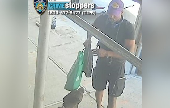 NYPD Seeks Public's Help to Find Suspect in Assault of Elderly Man in the Bronx