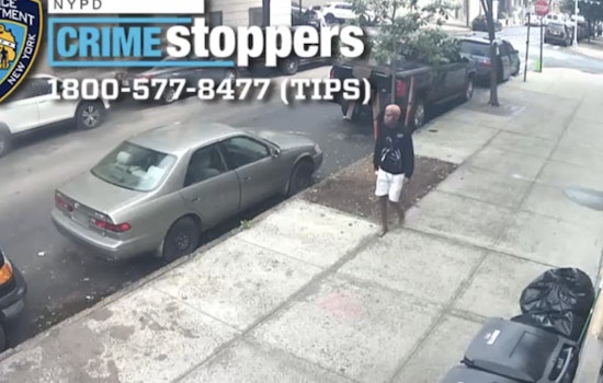NYPD Seeks Public's Help to Identify Suspect in Daytime Bronx Robbery