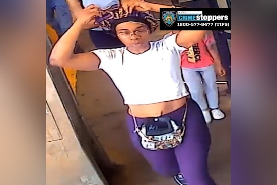 NYPD Seeks Suspects in Violent Subway Robbery on Brooklyn-Bound 'L' Train