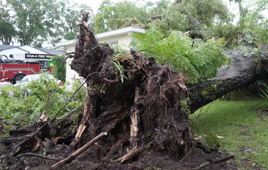 Ocala Storm Fells Tree on Duplex, Man and Dog Rescued Unharmed by First Responders
