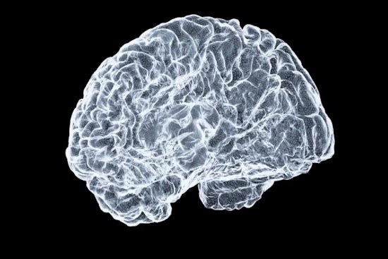 Ohio State University Rolls Out Brain Health Initiative to Aid Aging Ohioans with Memory Screenings and Research