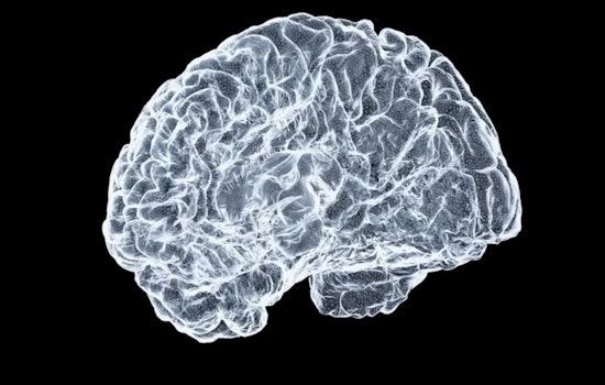 Ohio State University Rolls Out Brain Health Initiative to Aid Aging Ohioans with Memory Screenings and Research