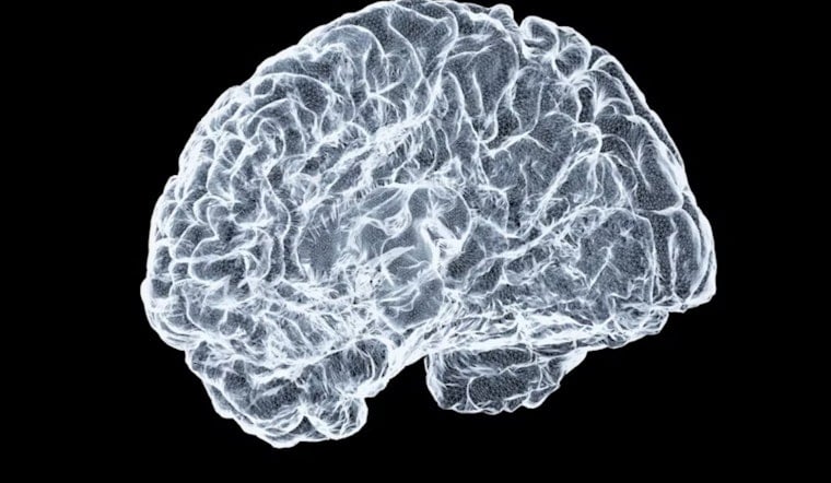 Ohio State University Rolls Out Brain Health Initiative to Aid Aging Ohioans with Memory Screenings and Research