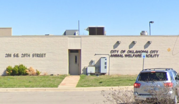 Oklahoma City Animal Welfare Seeks Immediate Help to Home 60 Dogs Amid Capacity Crisis