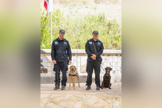 Oklahoma City Fire Department Bolsters Ranks with Rescue Canines Dino and Bubba