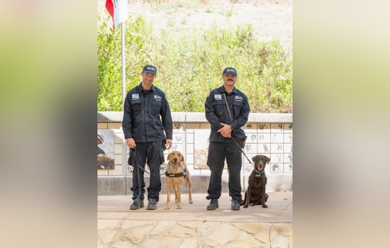 Oklahoma City Fire Department Bolsters Ranks with Rescue Canines Dino and Bubba