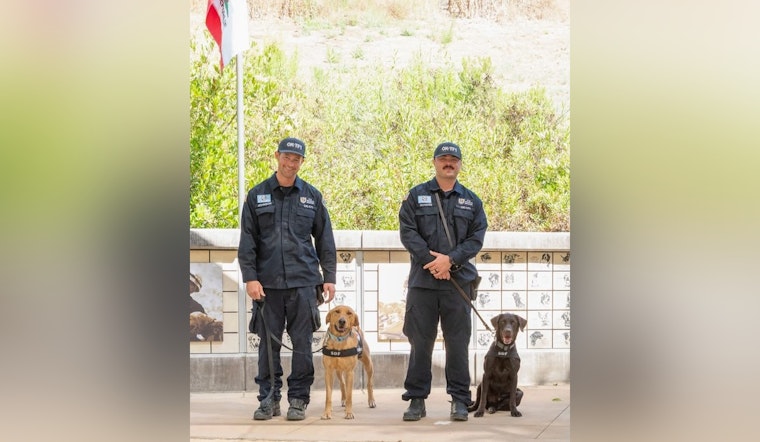 Oklahoma City Fire Department Bolsters Ranks with Rescue Canines Dino and Bubba