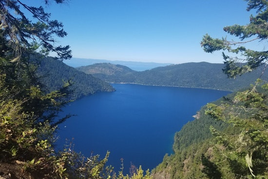One Fatality and Two Injuries in Small Plane Crash at Olympic National Park as NTSB Investigates Cause