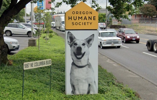 Oregon Humane Society Slashes Pet Adoption Fees by 50% in Portland and Salem This Weekend