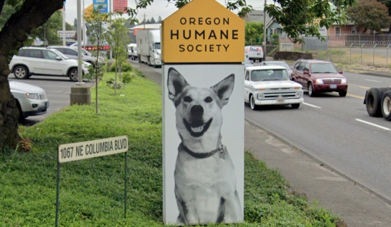 Oregon Humane Society Slashes Pet Adoption Fees by 50% in Portland and Salem This Weekend