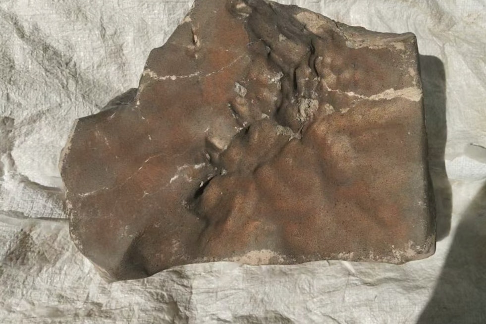 Out of This World Sale as Martian Meteorite NWA 16788 Shatters Expectations with $5.3 Million Bid at New York Auction