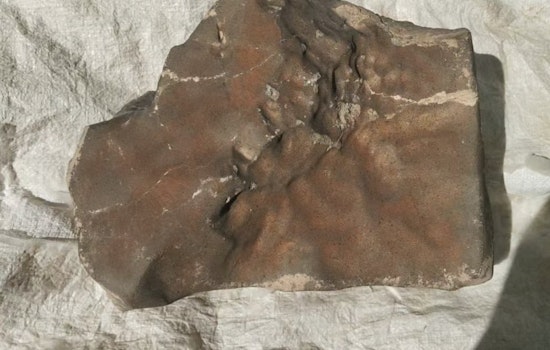 Out of This World Sale as Martian Meteorite NWA 16788 Shatters Expectations with $5.3 Million Bid at New York Auction
