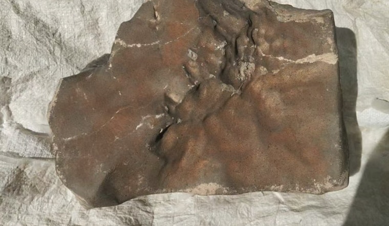 Out of This World Sale as Martian Meteorite NWA 16788 Shatters Expectations with $5.3 Million Bid at New York Auction