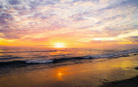 Over 30 Massachusetts Beaches Shut Due to Health Risk Bacteria Levels Surge After Heavy Rainfall
