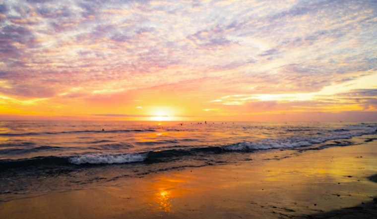 Over 30 Massachusetts Beaches Shut Due to Health Risk Bacteria Levels Surge After Heavy Rainfall