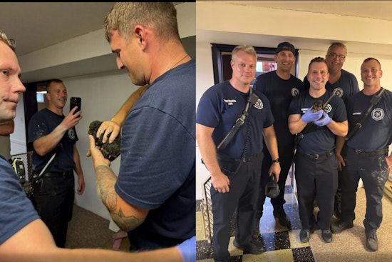 Parma Firefighters Rescue Puppy Trapped in HVAC Vent, Honorably Bestowed Naming Rights