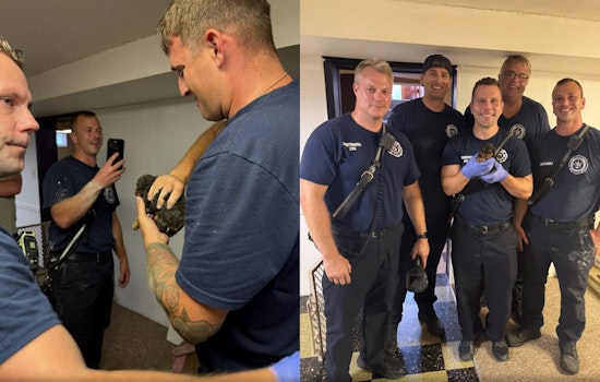 Parma Firefighters Rescue Puppy Trapped in HVAC Vent, Honorably Bestowed Naming Rights