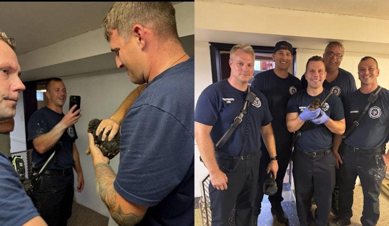 Parma Firefighters Rescue Puppy Trapped in HVAC Vent, Honorably Bestowed Naming Rights