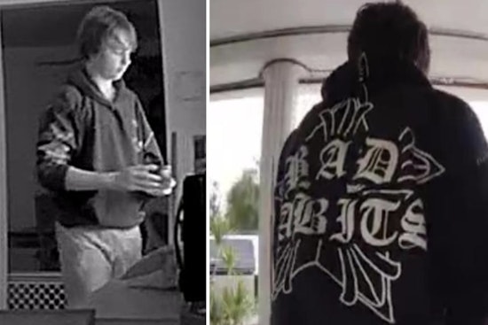 Pasco County Sheriff's Office Seeks Help to Find Missing Teen Joshua Schuster in Holiday Area