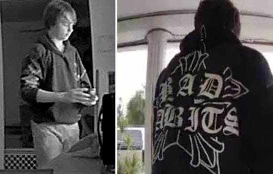 Pasco County Sheriff's Office Seeks Help to Find Missing Teen Joshua Schuster in Holiday Area