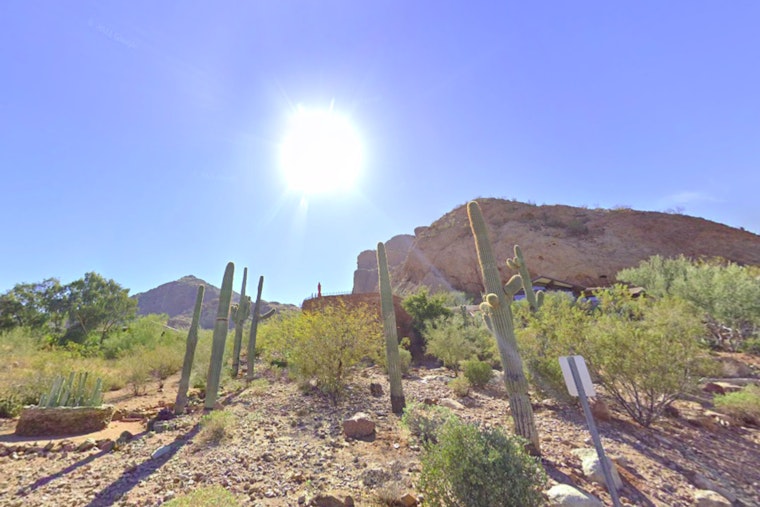 Phoenix Braces for Sweltering Heat Wave with Temperatures Nearing 111 Degrees