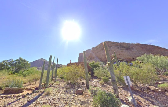 Phoenix Braces for Sweltering Heat Wave with Temperatures Nearing 111 Degrees