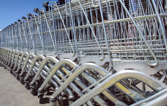 Phoenix Proposes GPS Tracking for Shopping Carts to Combat Abandonment Issues