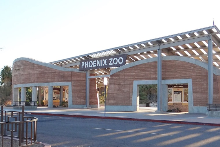 Phoenix Zoo Unveils Innovative Pools for Jaguars and Lions in $5.3M 'Big Cats of Arizona' Habitat