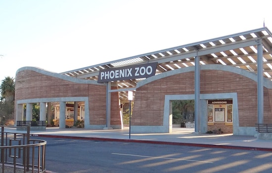 Phoenix Zoo Unveils Innovative Pools for Jaguars and Lions in $5.3M 'Big Cats of Arizona' Habitat