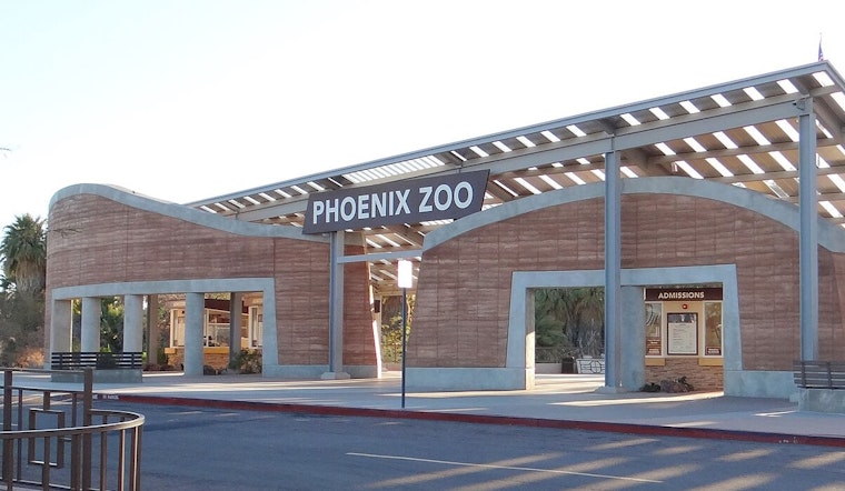 Phoenix Zoo Unveils Innovative Pools for Jaguars and Lions in $5.3M 'Big Cats of Arizona' Habitat