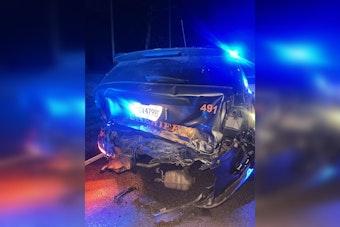 Pike County Deputy's Vehicle Hit by Suspected Drunk Driver During Holiday Patrol