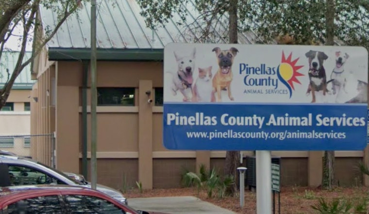 Pinellas County Revokes Clearwater Pet Store's Permit Amid Animal Welfare Violations