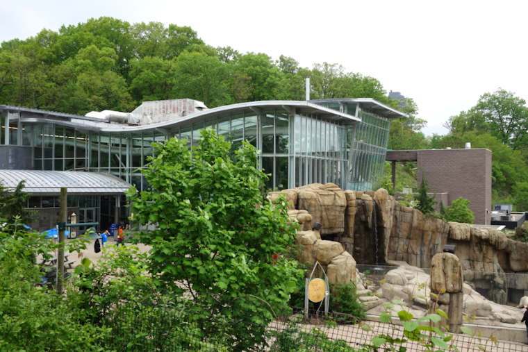 Pittsburgh Zoo & Aquarium Welcomes Vulnerable Humboldt Penguins and Rescued Brown Pelicans to New Habitat
