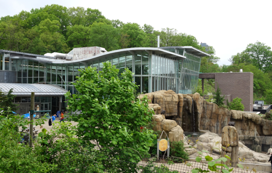 Pittsburgh Zoo & Aquarium Welcomes Vulnerable Humboldt Penguins and Rescued Brown Pelicans to New Habitat