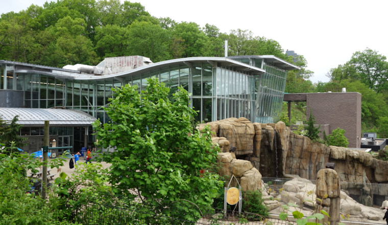Pittsburgh Zoo & Aquarium Welcomes Vulnerable Humboldt Penguins and Rescued Brown Pelicans to New Habitat