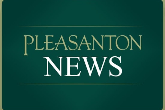 Pleasanton City Council Allocates $700K in Grants to Support Local Nonprofits and Community Services