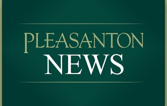 Pleasanton City Council Allocates $700K in Grants to Support Local Nonprofits and Community Services
