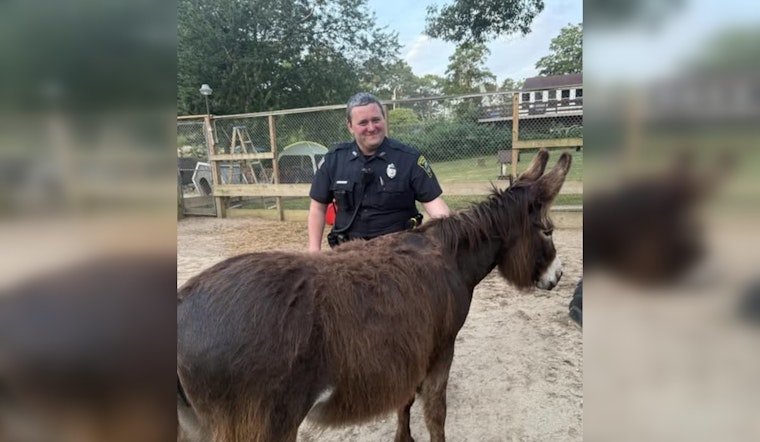 Plymouth Police's Early Morning Chase Ends in Comical Standoff with Mischievous Four-Legged Duo