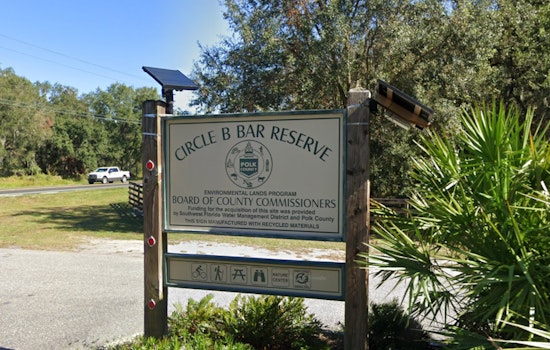 Polk County's Circle B Bar Reserve Closes Marsh Rabbit Run Trail During Alligator Nesting Season