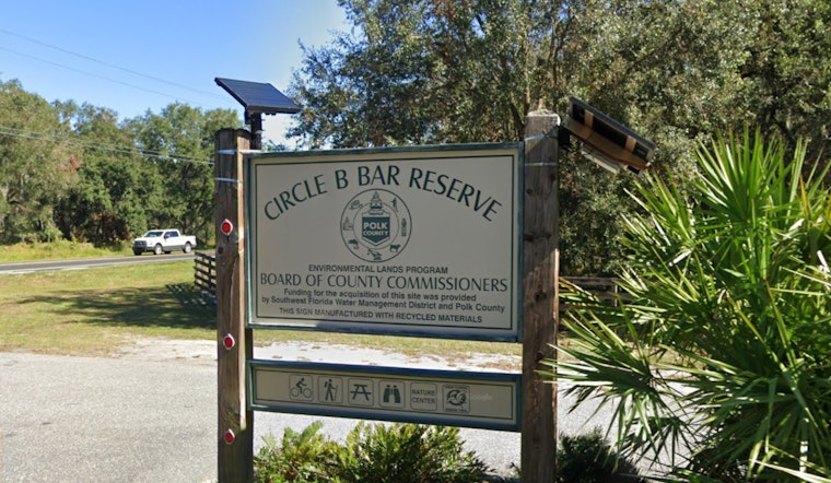Polk County's Circle B Bar Reserve Closes Marsh Rabbit Run Trail During Alligator Nesting Season