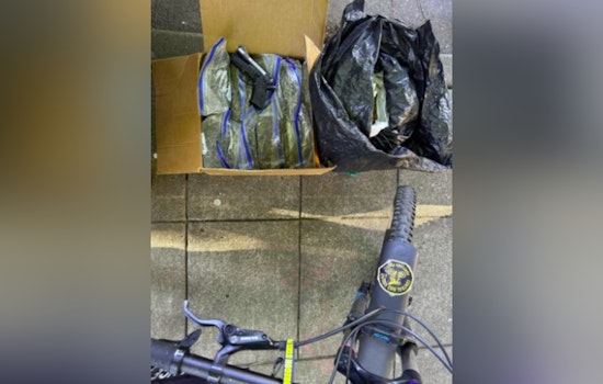 Portland Police Arrest Duo for Excessive Cannabis Possession and Unlawful Ammunition During Traffic Stop