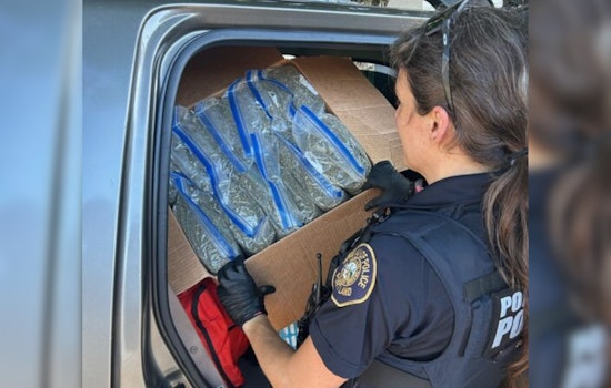 Portland Police Bike Squad Apprehends Two With Over 14 Pounds of Marijuana, Individuals Face Felony Charges