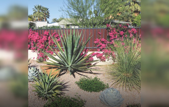 Queen Creek Launches Incentive Program for Water-Smart Landscaping Amid Drought Concerns
